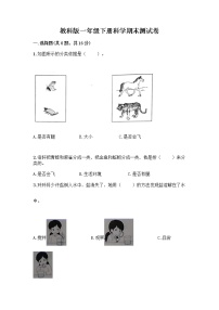 教科版一年级下册科学期末测试卷含答案（最新）附答案（能力提升）