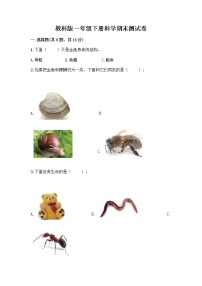 教科版一年级下册科学期末测试卷含答案（实用）附答案（模拟题）