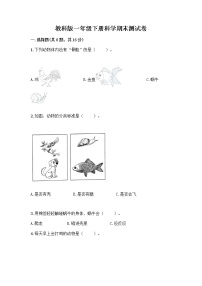 教科版一年级下册科学期末测试卷及答案（基础+提升）及答案（精品）