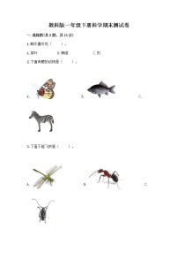 教科版一年级下册科学期末测试卷（精练）