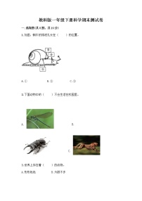 教科版一年级下册科学期末测试卷（培优B卷）