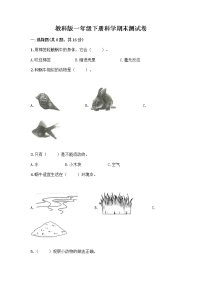 教科版一年级下册科学期末测试卷（全优）