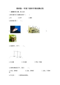 教科版一年级下册科学期末测试卷及答案（精品）