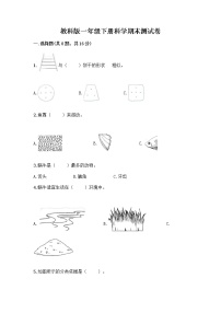 教科版一年级下册科学期末测试卷答案免费