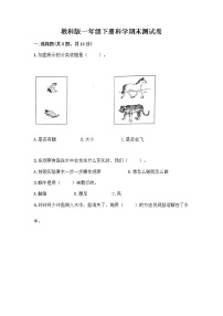 教科版一年级下册科学期末测试卷（名师系列）