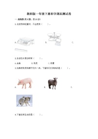 教科版一年级下册科学期末测试卷及答案免费下载