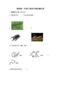 教科版一年级下册科学期末测试卷及答案免费