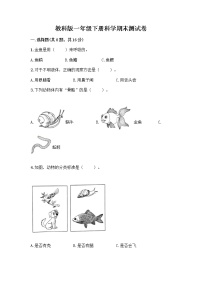 教科版一年级下册科学期末测试卷（突破训练）