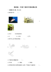 教科版一年级下册科学期末测试卷（有一套）