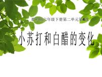 小学科学教科版六年级下册4、小苏打和白醋的变化集体备课ppt课件