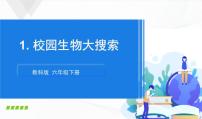 小学科学1.校园生物大搜索优质课课件ppt