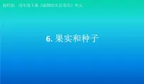 小学科学教科版 (2017)四年级下册6.果实和种子评课课件ppt