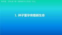 小学科学教科版 (2017)四年级下册1.种子里孕育着新生命教学演示ppt课件