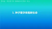 小学科学教科版 (2017)四年级下册1.种子里孕育着新生命教学演示ppt课件