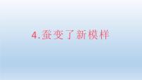 小学科学4.蚕变了新模样多媒体教学ppt课件