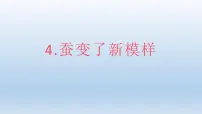 小学科学4.蚕变了新模样多媒体教学ppt课件