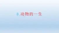 小学科学教科版 (2017)三年级下册8.动物的一生教课课件ppt