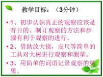 教科版三年级上册1、我看到了什么教学ppt课件