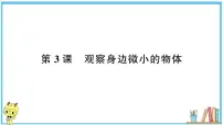 教科版 (2017)3.观察身边微小的物体习题ppt课件