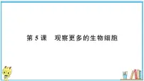 教科版 (2017)六年级上册5.观察更多的生物细胞习题ppt课件