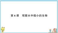 小学科学教科版 (2017)六年级上册6.观察水中微小的生物习题课件ppt