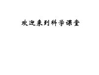 小学人教版 (新课标)一 和动物交朋友4 饲养小动物教学ppt课件