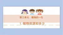 小学科学大象版 (2017)三年级下册1 植物资源知多少背景图ppt课件