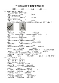 小学科学苏教版五年级下册期末测试卷（2022新版）