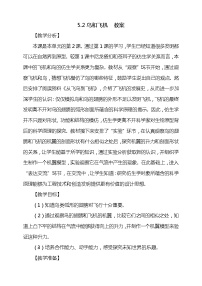 小学科学2 鸟和飞机教学设计