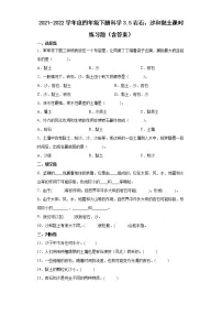 小学科学5.岩石、沙和黏土课堂检测