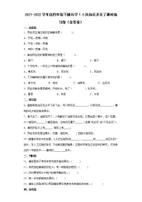 小学科学教科版 (2017)四年级下册5.凤仙花开花了练习题