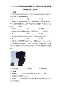 科学4.制作岩石和矿物标本当堂达标检测题