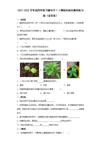 小学科学教科版 (2017)四年级下册2.种植凤仙花综合训练题