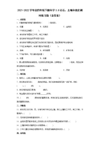 小学科学教科版 (2017)四年级下册8.岩石、 土壤和我们同步测试题