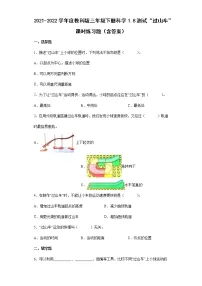 小学8.测试 “过山车”课时作业