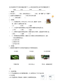 科学五年级下册3.绿豆苗的生长一课一练