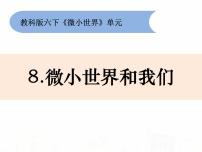 小学科学教科版六年级下册8、微小世界和我们教学ppt课件