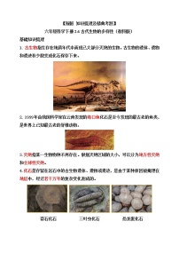教科版 (2017)六年级下册6.古代生物的多样性达标测试