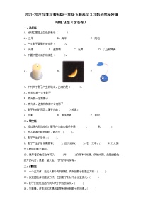 小学科学3.影子的秘密当堂达标检测题