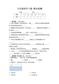 （教科版）2020-2021学年教科版五年级下册科学期末检测（含答案）