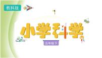 小学科学教科版 (2017)五年级下册1.温度与水的变化教学ppt课件