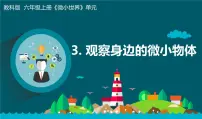 小学科学教科版 (2017)六年级上册3.观察身边微小的物体教学ppt课件