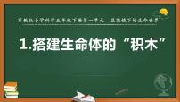 小学科学苏教版 (2017)五年级下册1 搭建生命体的“积木”授课ppt课件