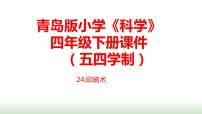 科学24 印刷术教学演示ppt课件