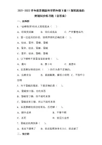 小学科学苏教版 (2017)四年级下册11 探究昆虫的奥秘课时训练