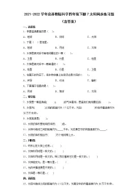 小学科学苏教版 (2017)四年级下册7 太阳随堂练习题