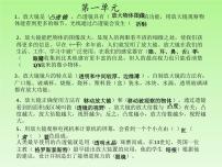 新教科版六年级科学下册期末复习课件