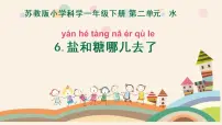 小学科学苏教版 (2017)一年级下册6.盐和糖哪儿去了课前预习课件ppt