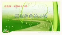 小学10.形形色色的动物背景图ppt课件