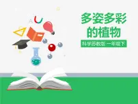 苏教版 (2017)一年级下册11.多姿多彩的植物评课ppt课件